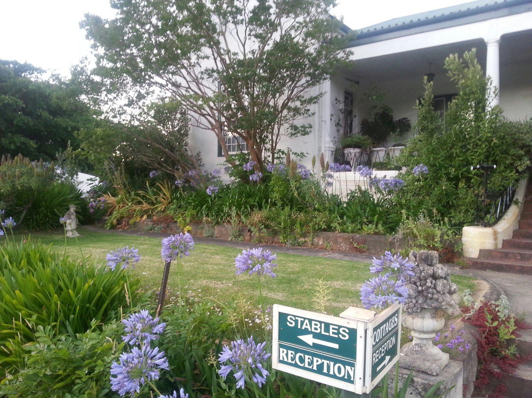 Paradise Stables-法兰舒克必去景点