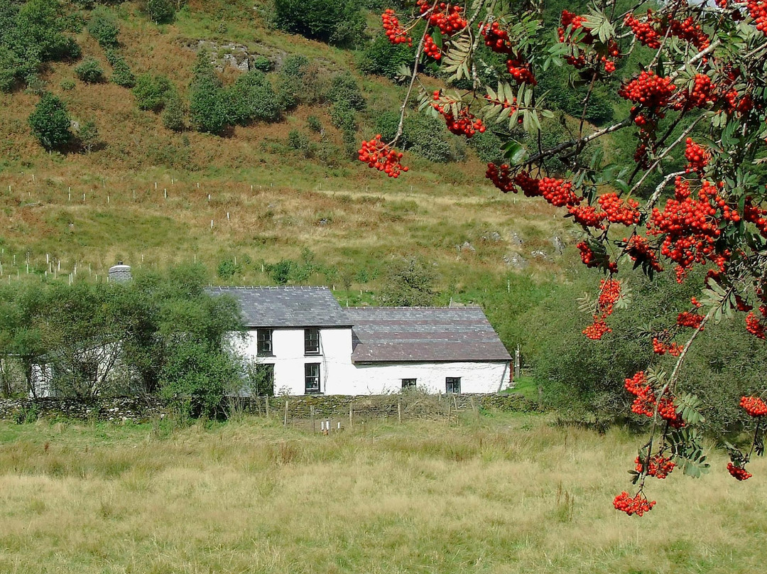 Elenydd Wilderness Hostels - Dolgoch Hostel