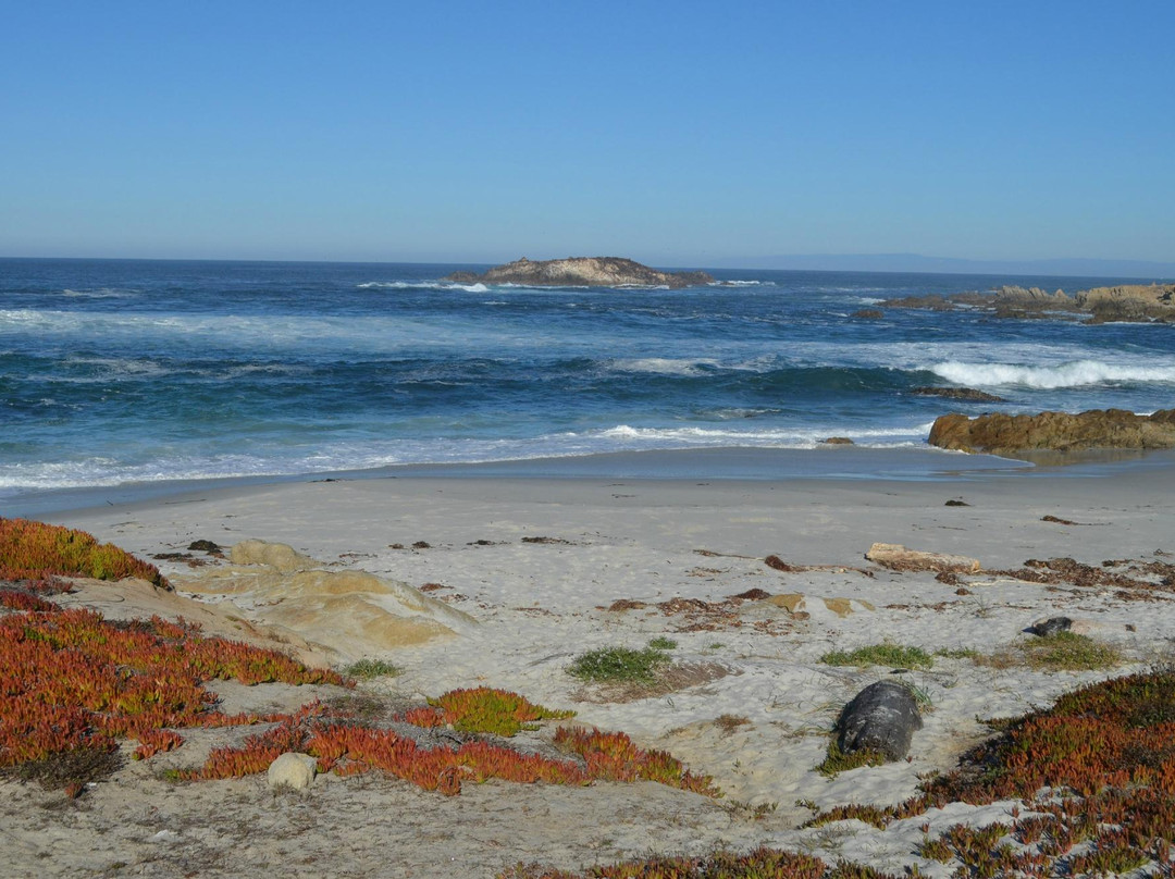 Pebble Beach Equestrian Center-圆石滩必去景点