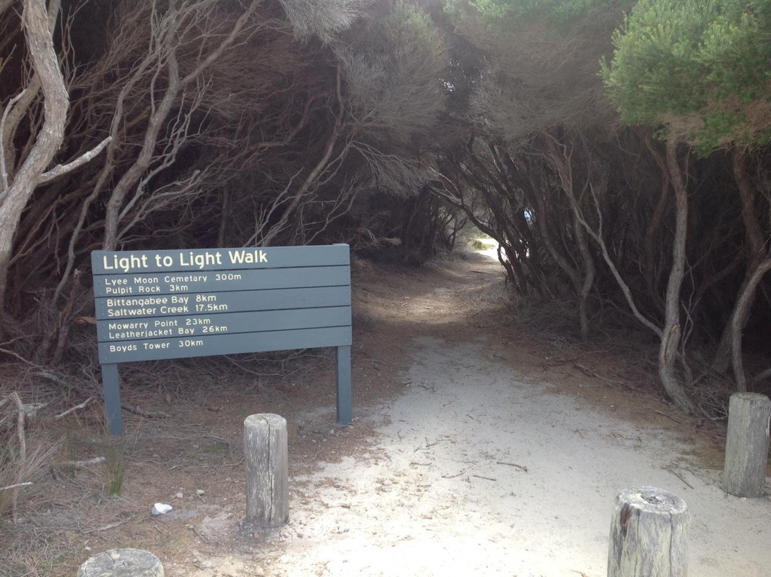 Light to Light Walk-伊登港必去景点