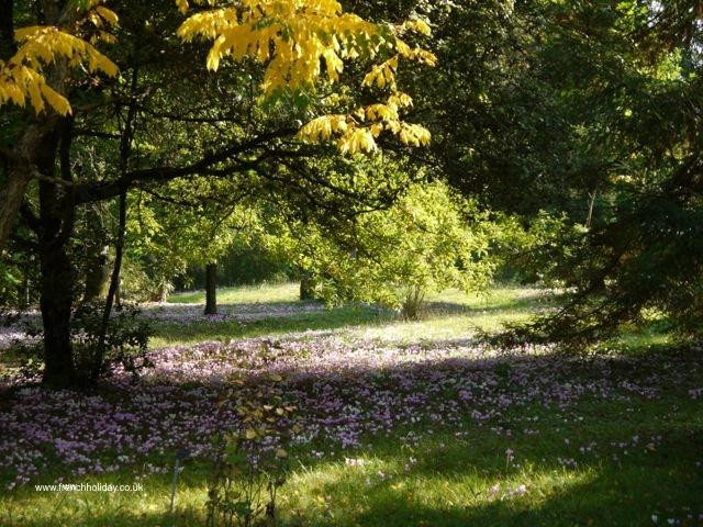 Arboretum National des Barres-Nogent-sur-Vernisson必去景点