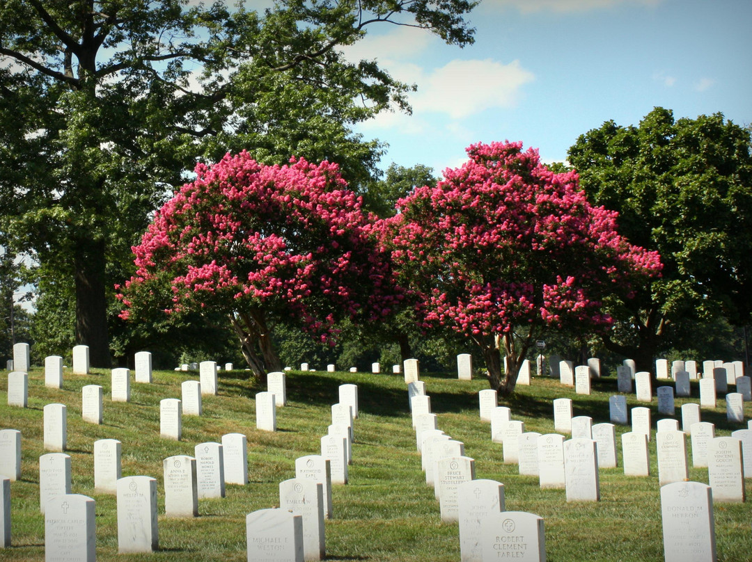 阿灵顿国家公墓-阿灵顿必去景点