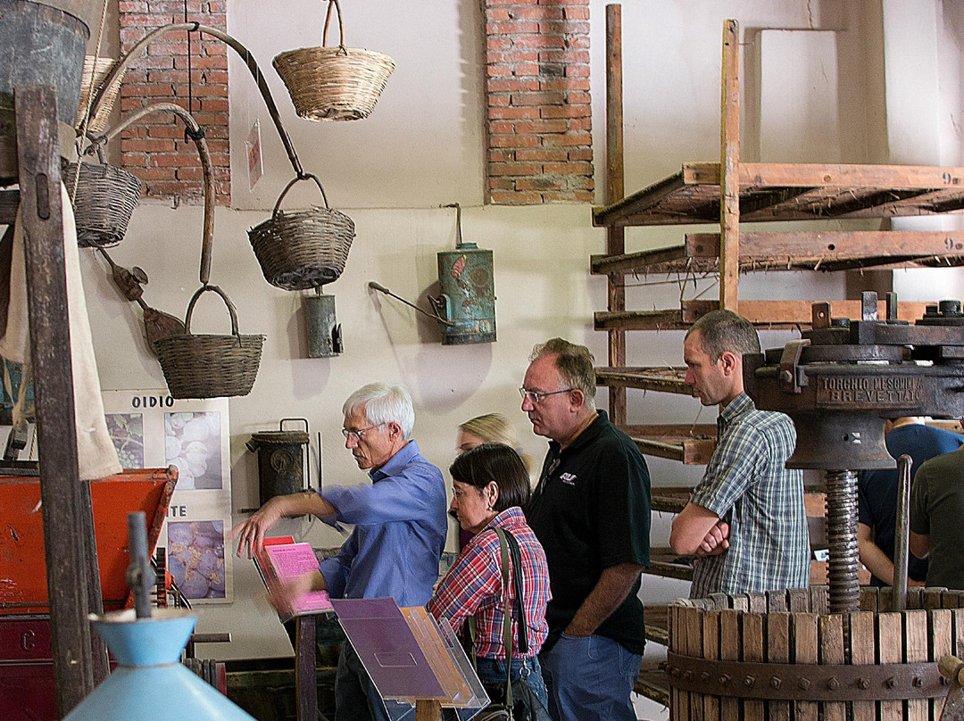 Museo del Vino-Illasi必去景点