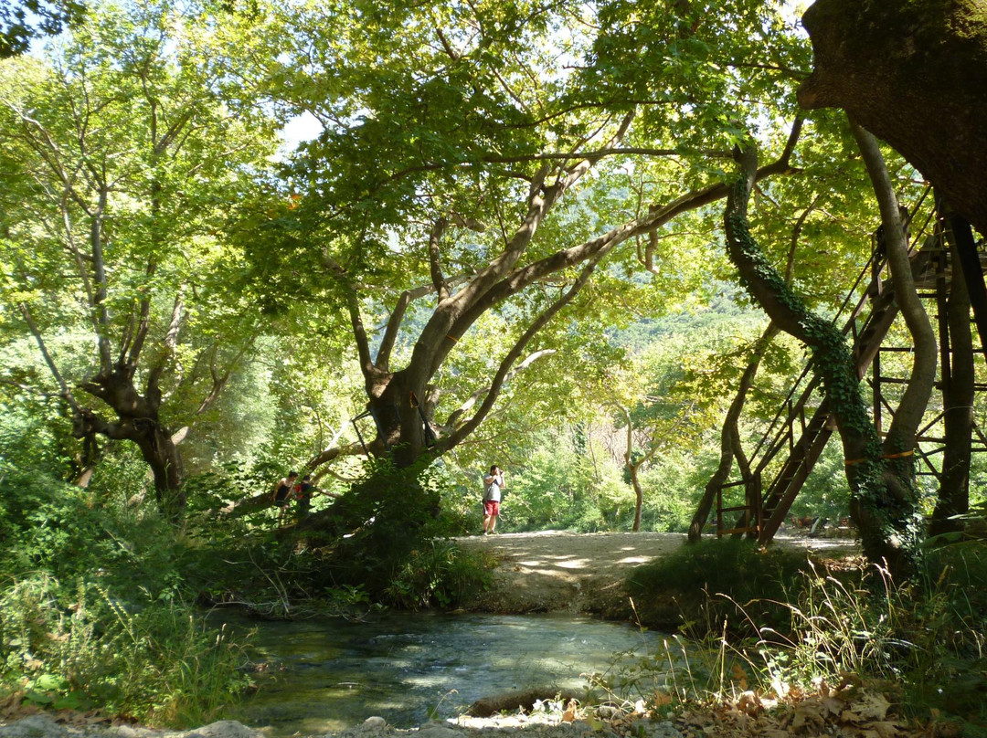 Acheron Delta Kayaking Eco Tour-Preveza必去景点