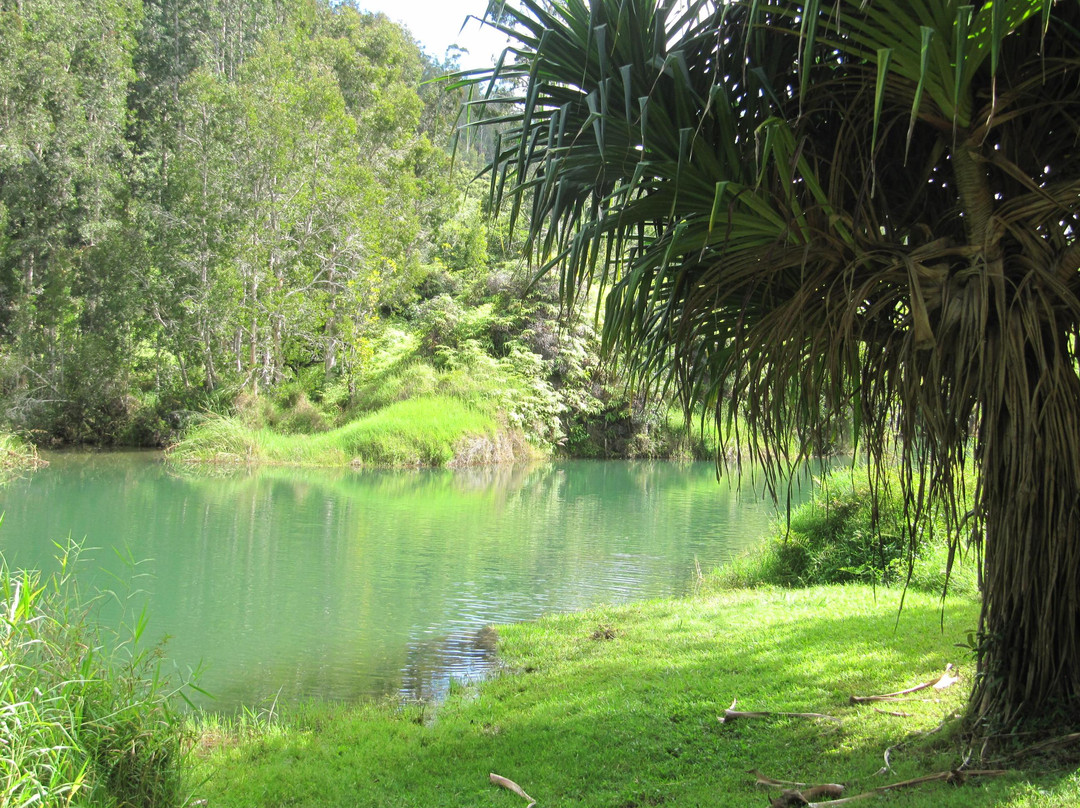 Tread Lightly Kauai Tours- Private Day Tours景点图片