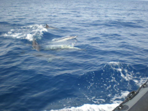 Black Runner-阿尔布赞拉必去景点