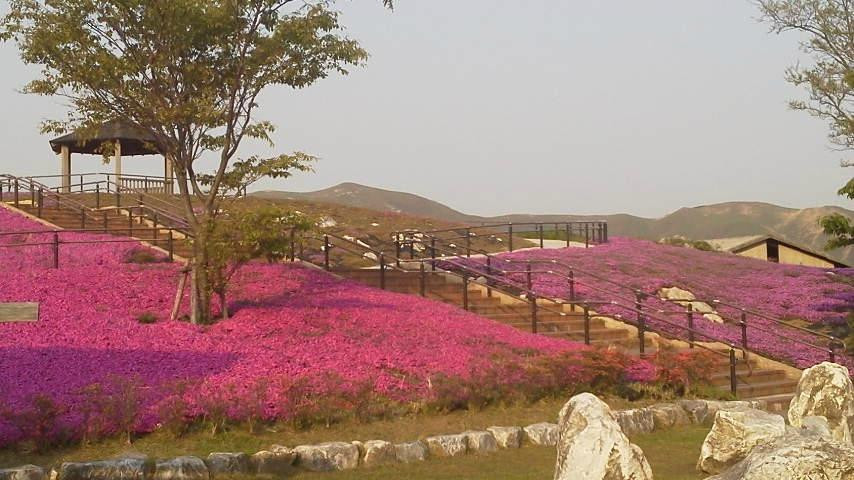 Hiraodai Countryside Park-北九州市必去景点