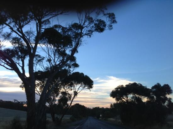 Barossa Epicurean Tours景点图片