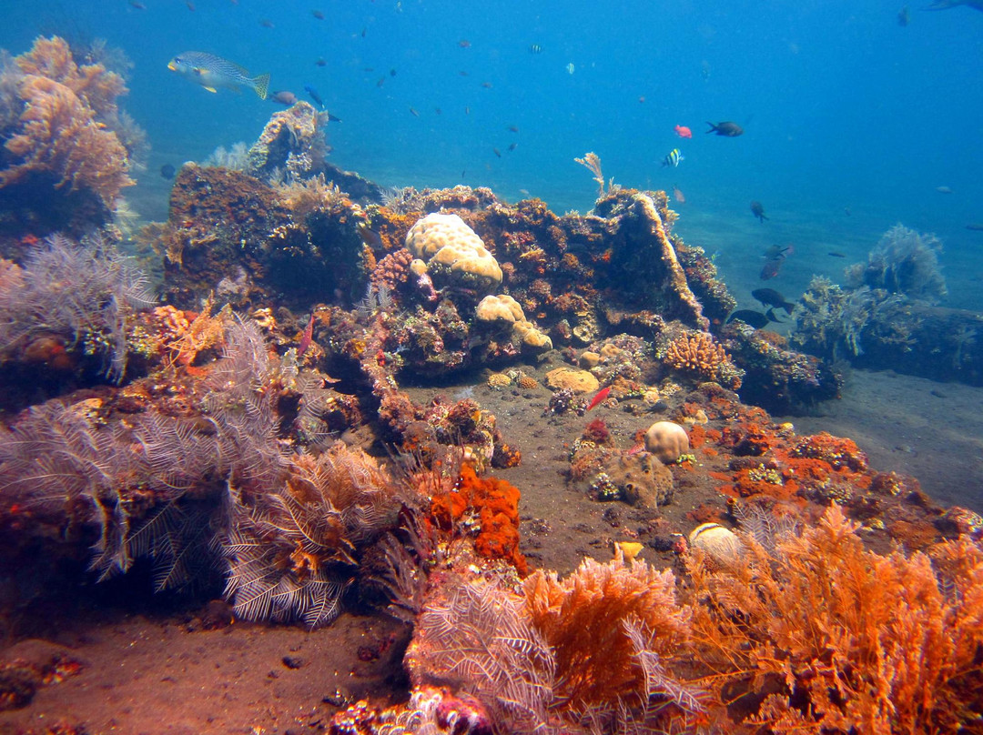 USS 自由号沉船-图兰本必去景点