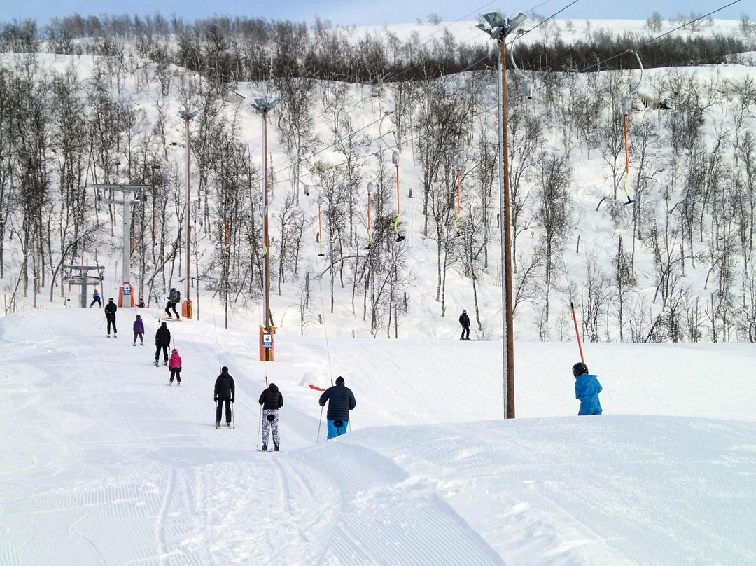 Malselv Mountain Village景点图片