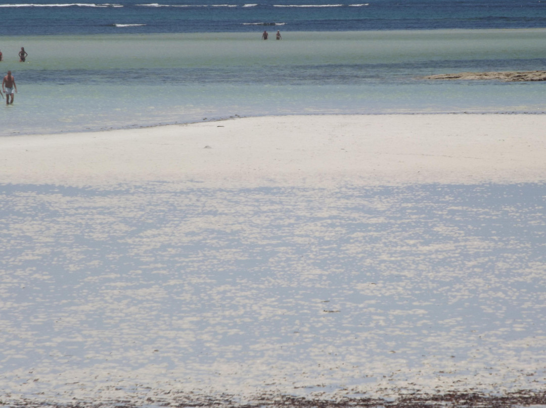 Spiaggia delle Tartarughe-瓦塔木必去景点