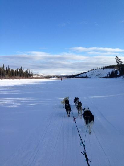 Muktuk Adventures-白马市必去景点