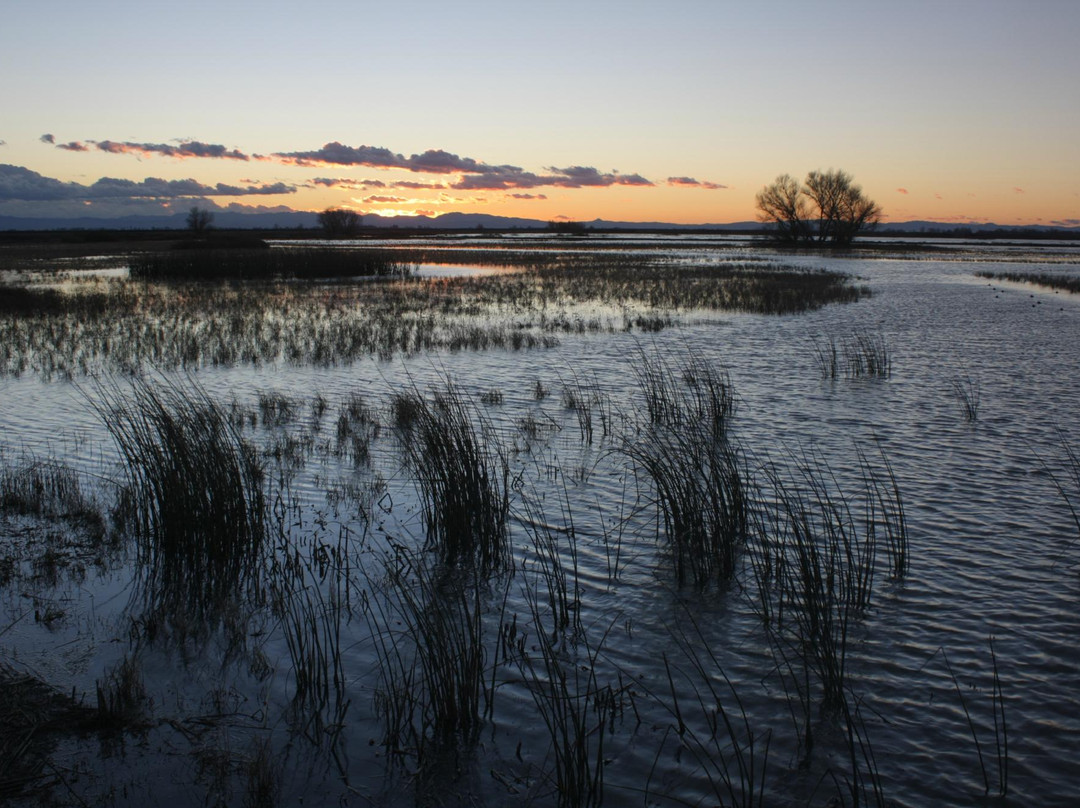 默塞德国家野生动物保护区-默塞德必去景点