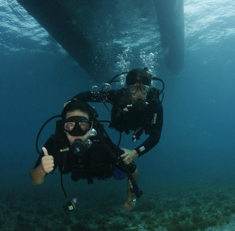 Atlantis Divers-费尔南多-迪诺罗尼亚群岛必去景点