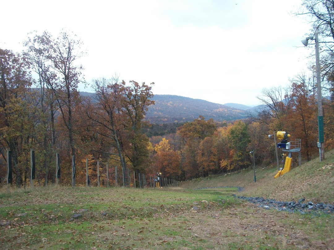 Whitetail Mountain Resort景点图片
