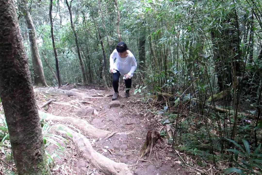五指山卧龙山-五指山市必去景点