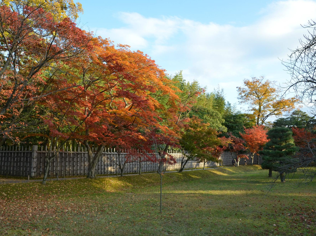 桂离宫-京都市必去景点