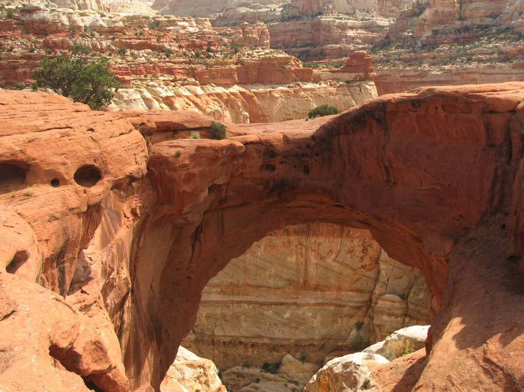 Cassidy Arch-圆顶礁国家公园必去景点