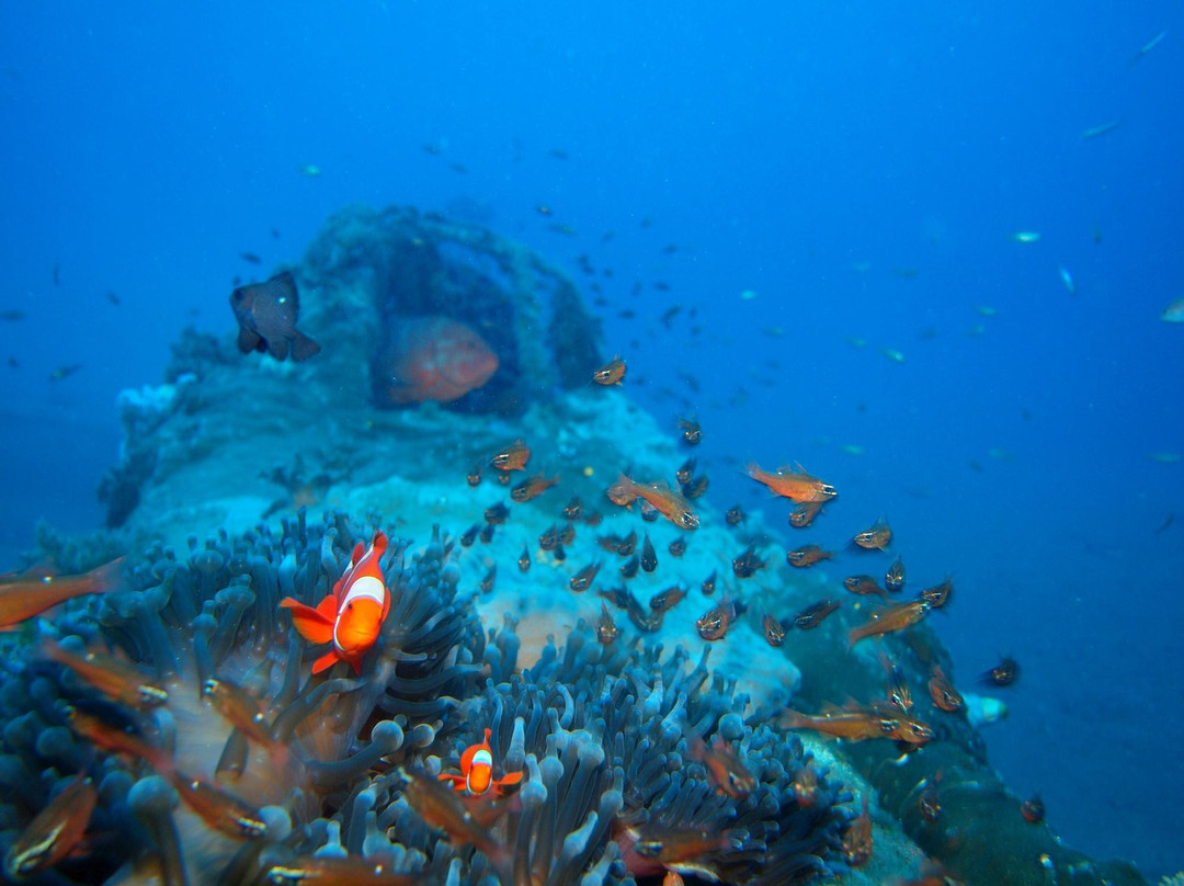Kabaira Dive & Tours Rabaul-Rabaul必去景点
