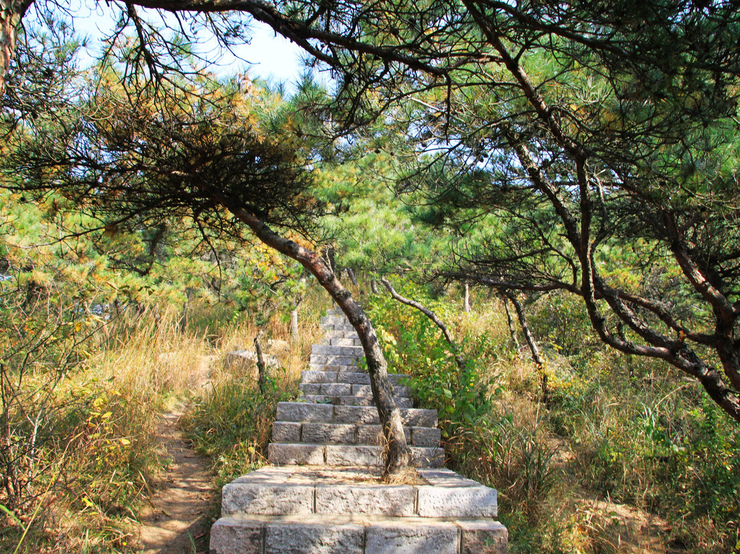 招虎山-海阳市必去景点
