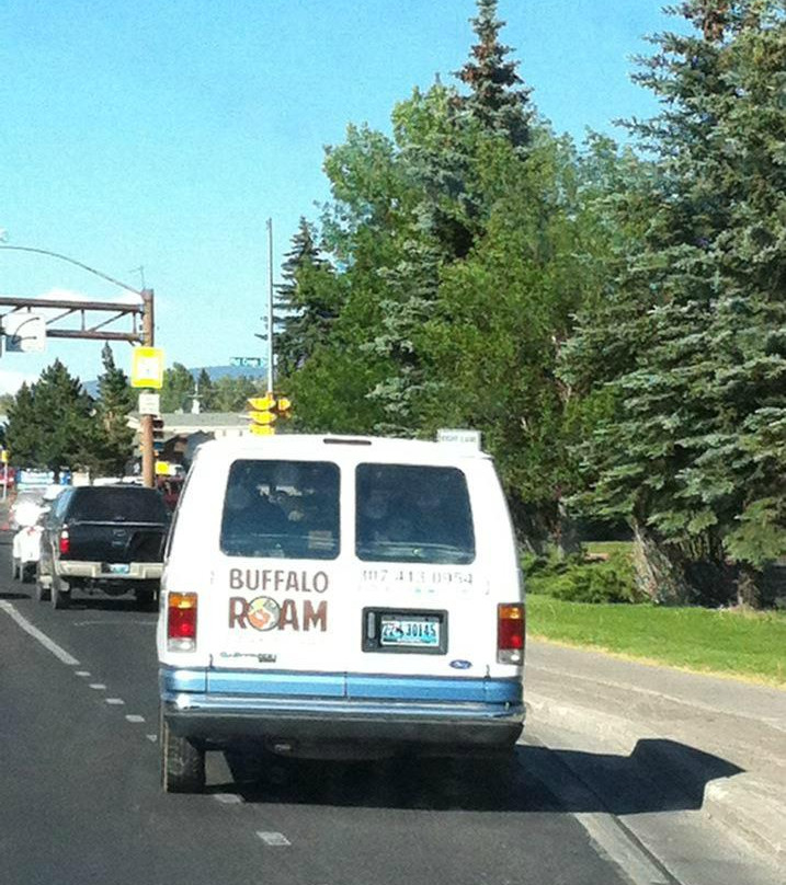 Buffalo Roam Tours - Day Tours-杰克逊必去景点