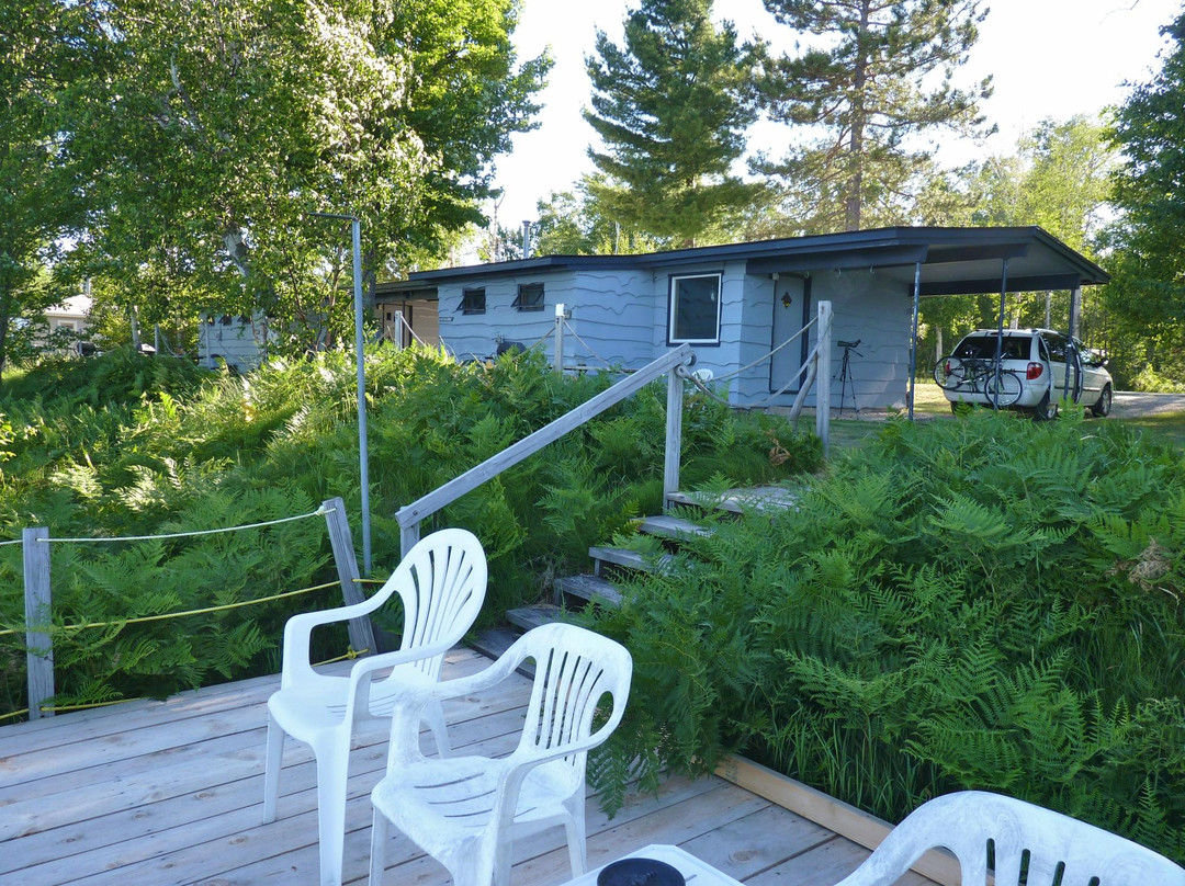 Freighters View on the Bay主图