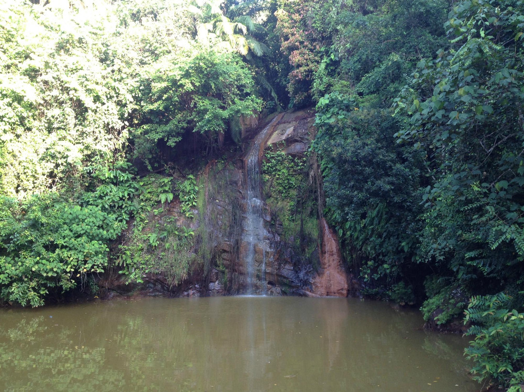 Tasek Lama Recreational Park景点图片