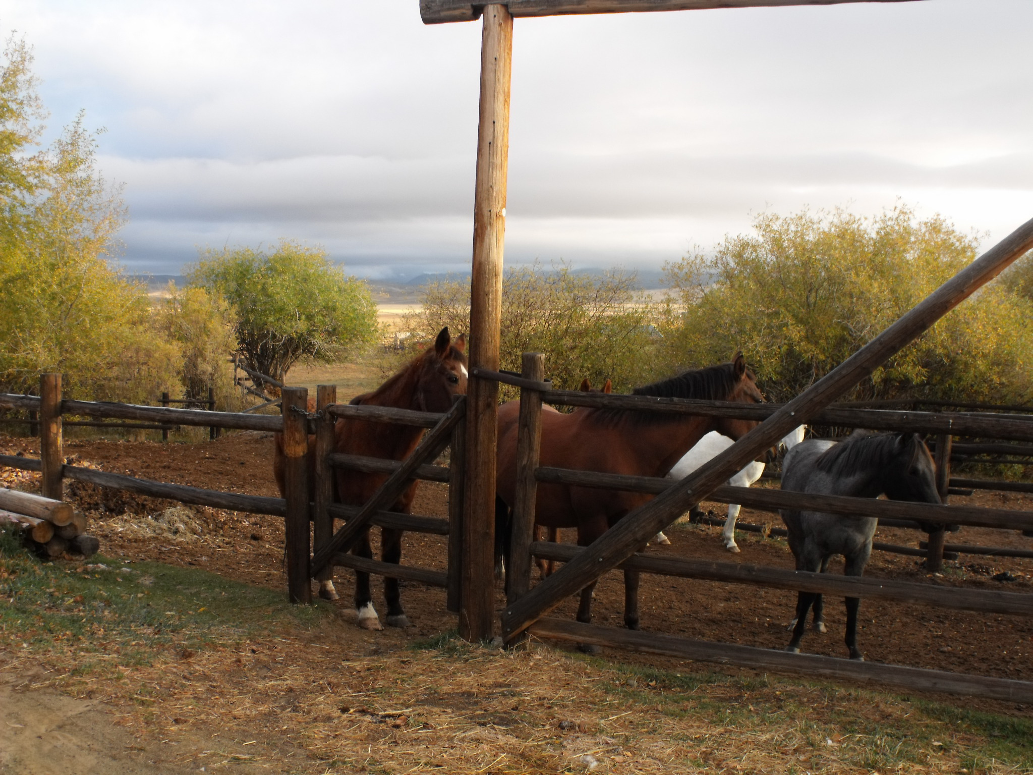 Pole Creek Ranch Bed and Breakfast-官方