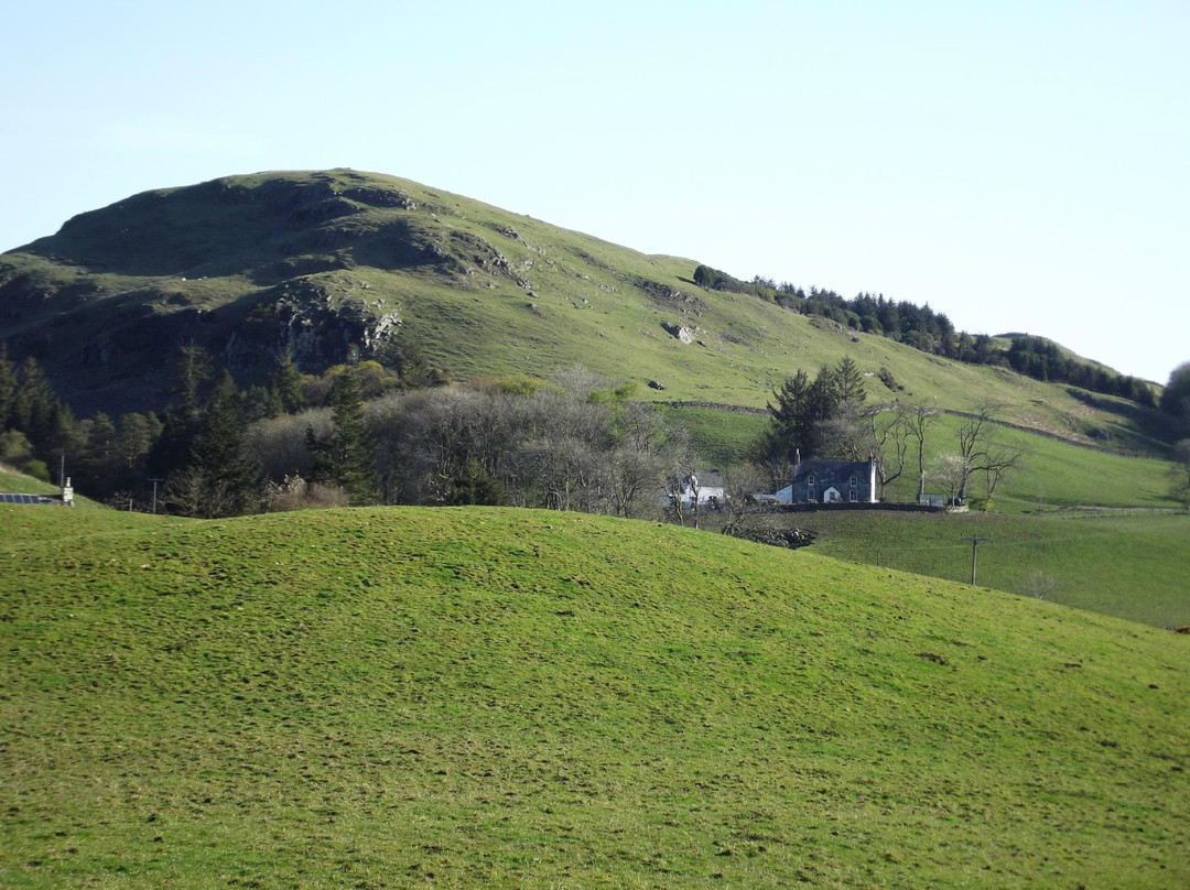Miefield Farm