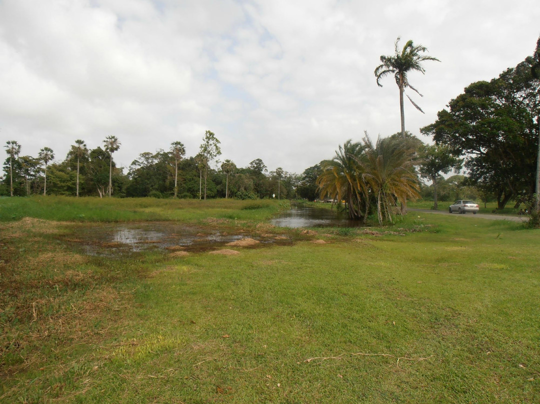 Guyana Botanical Gardens景点图片