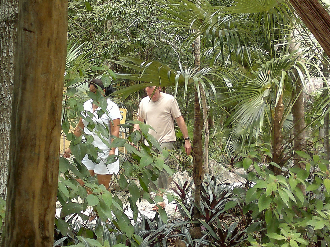 Ixchel Jungle Spa-从莫雷洛斯港必去景点