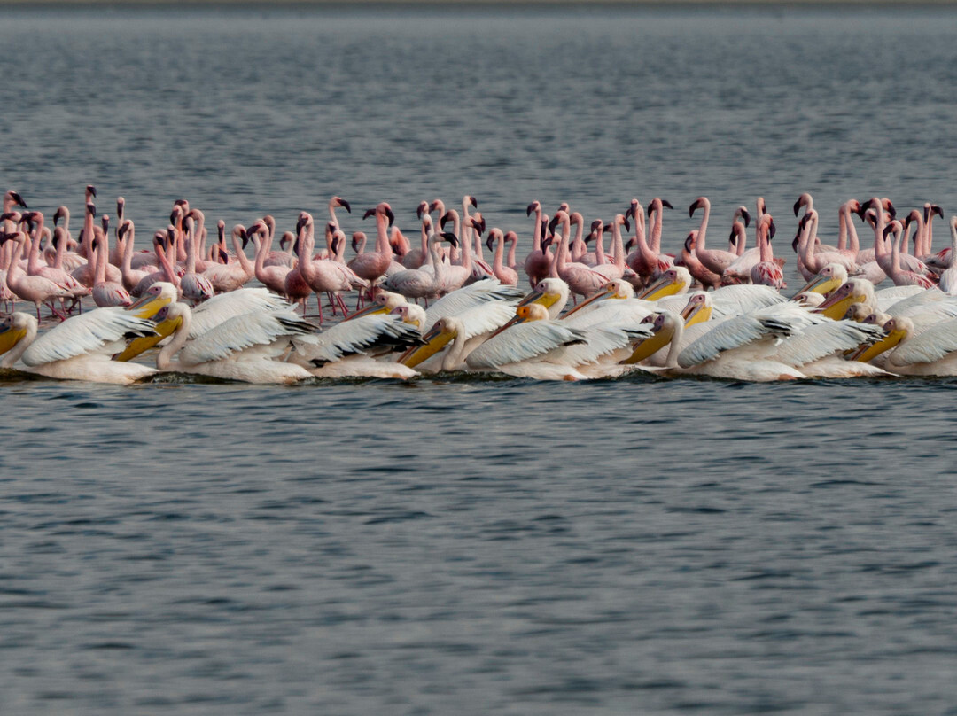 Explorer Kenya-内罗毕必去景点