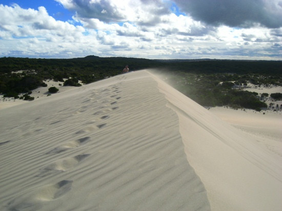 Kangaroo Island Outdoor Action景点图片