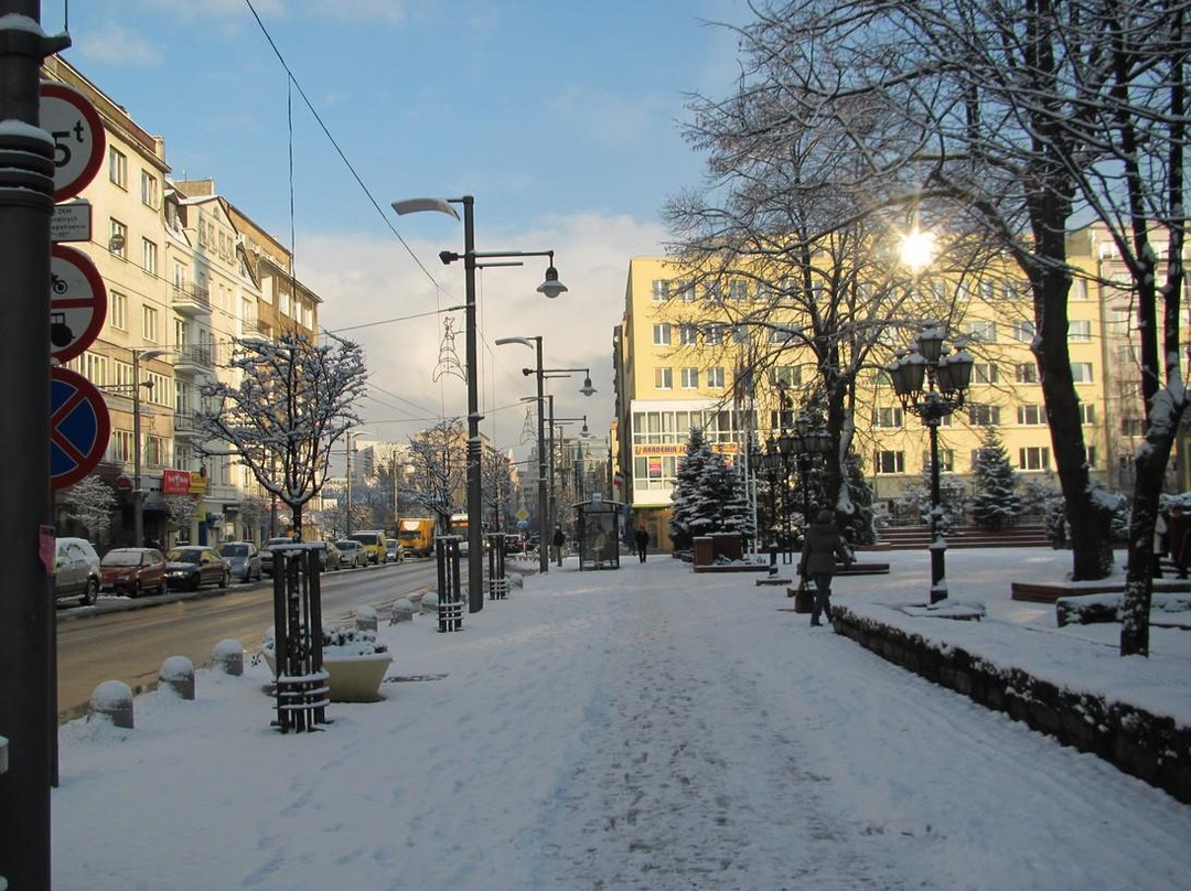 Swietojanska Street景点图片