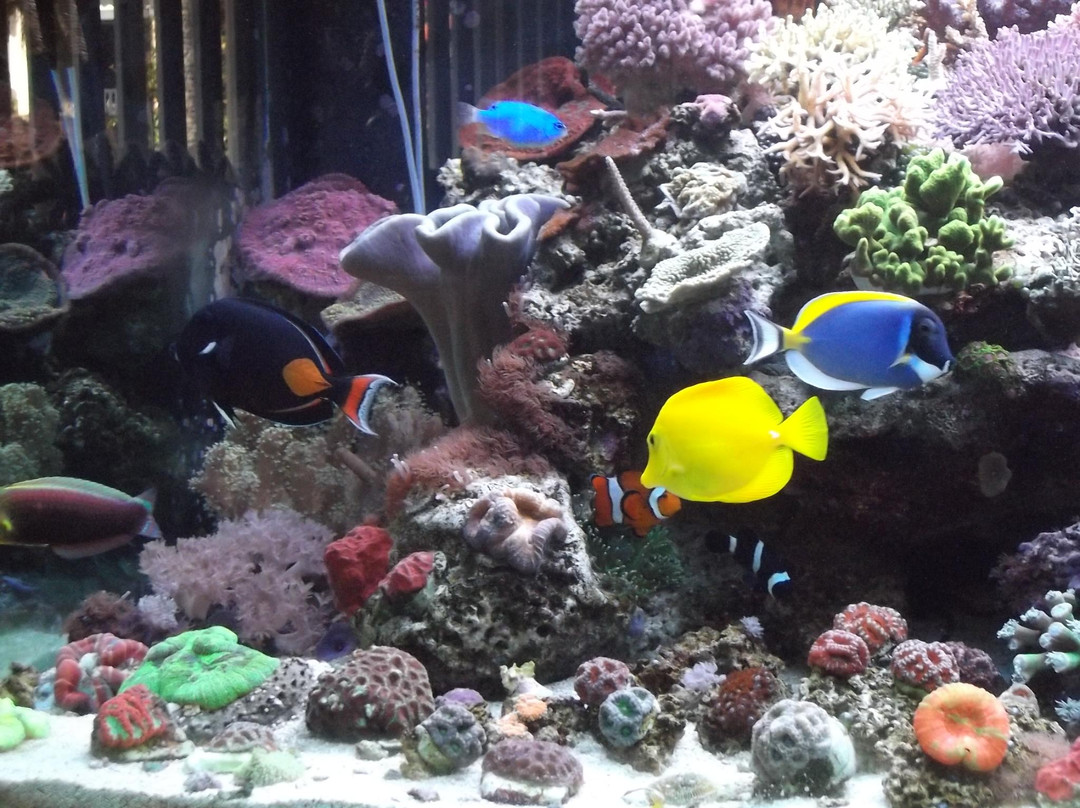 Fazenda do Chocolate-伊图必去景点