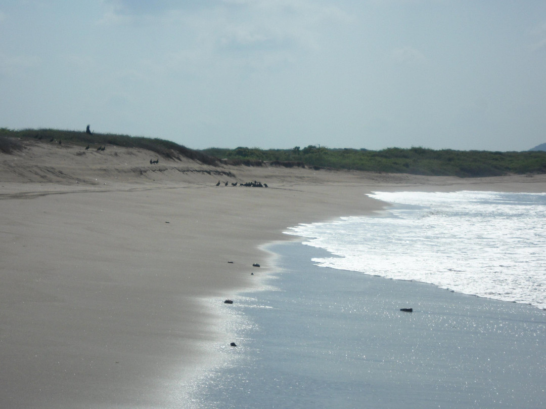 Mazatlan Tours-马萨特兰必去景点