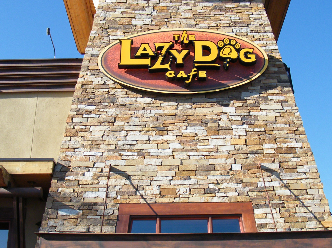 Lazy Dog Restaurant & Bar
