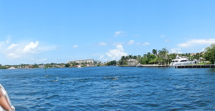 Tropical Sailing-劳德代尔堡必去景点