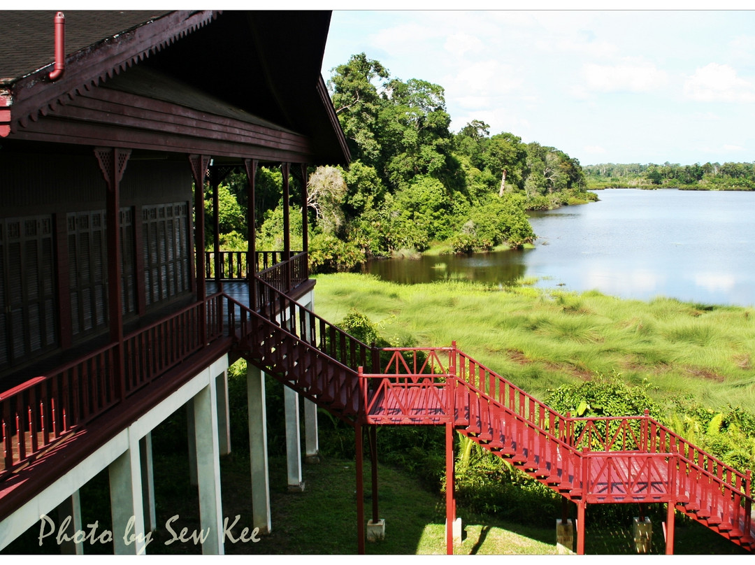 Taman Warisan Tasek Merimbun景点图片