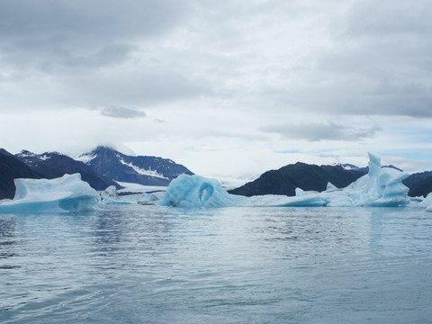 Alaska Fjord Charters-苏厄德必去景点