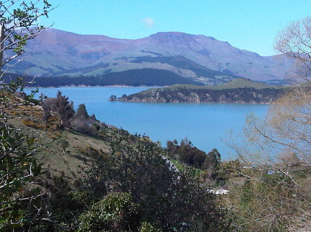Corsair Bay-基督城必去景点