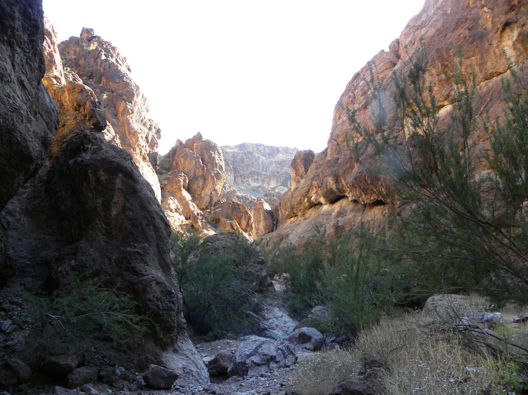 Gold Strike Canyon Hot Springs-拉斯维加斯必去景点
