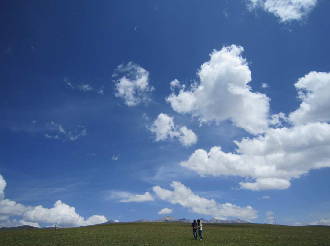 塔公草原-康定县必去景点