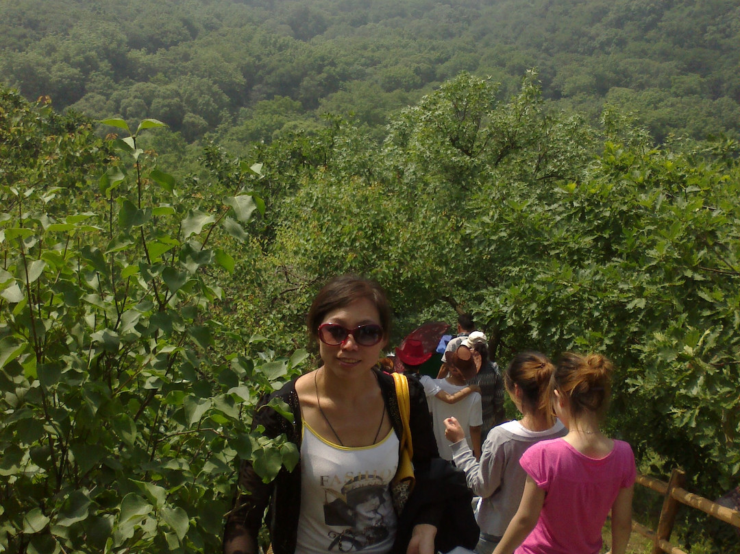 大青沟生态旅游区-科尔沁左翼后旗必去景点