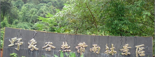 野象谷景点图片