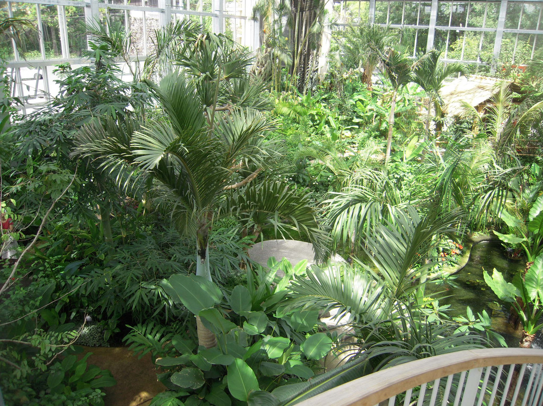 The Kochi Prefectural Makino Botanical Garden-高知市必去景点