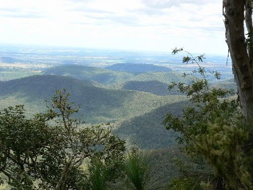 Bunya Mountains National Park景点图片