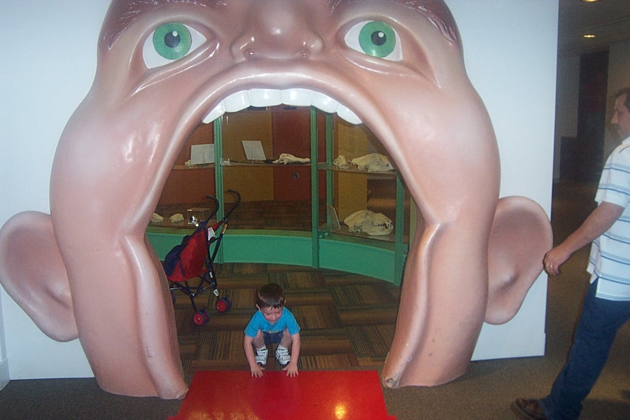 佩洛特自然科学博物馆-达拉斯必去景点