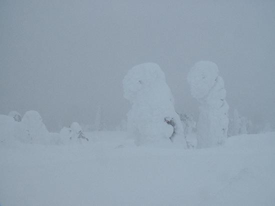 Big White Ski Resort-Big White必去景点