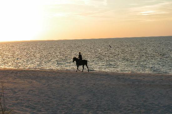 优雅湾-格雷斯湾必去景点